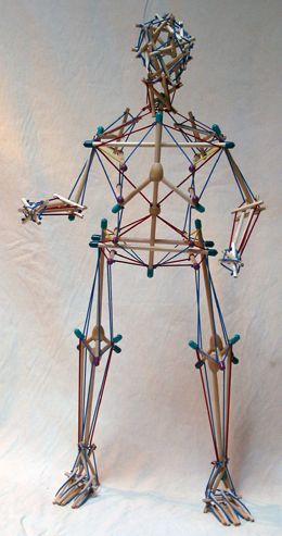 Tensegrity Skeleton